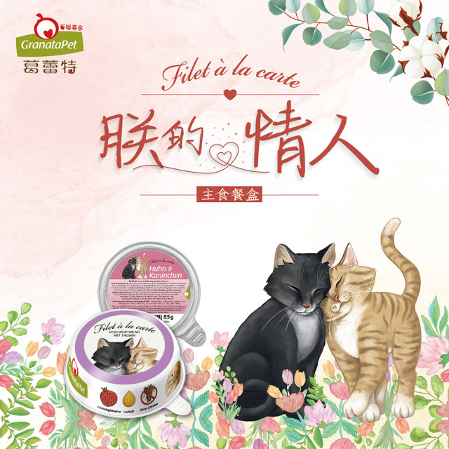 葛蕾特 朕的情人主食貓餐盒 85g