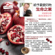GranataPet葛蕾特  交響樂主食貓罐 德罐 200g