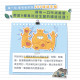 【團購】Born Natural 源自天生 全熟凍乾 犬貓適用