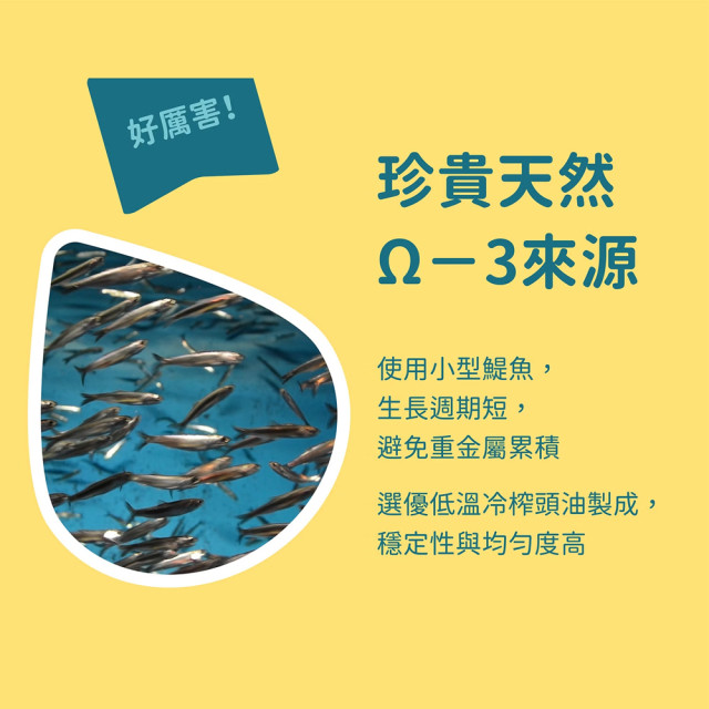 貓有話說 Ω-3 魚油 捏一口 功能型主食蒸煮鮮肉泥 （16g*４條）