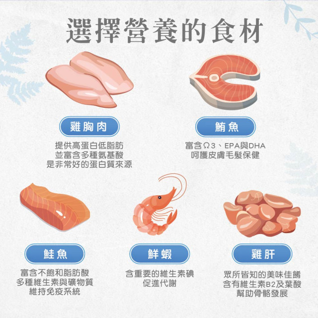 【團購】Dr.Clauder’s克勞德博士 菲力貓罐 無穀無膠 零食罐 70g