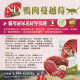 【團購/社群享98折】法米納Farmina ND藜麥無穀機能 貓糧&犬糧
