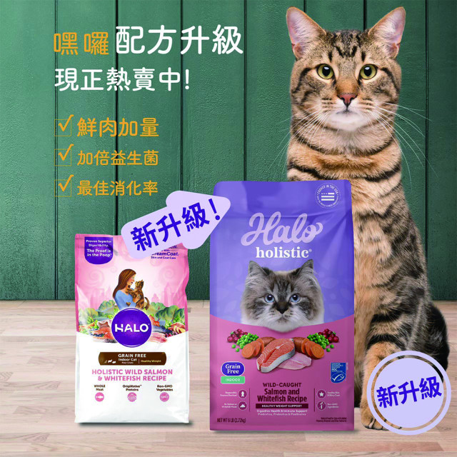 【快閃團購/買一送一】Halo嘿囉 無穀貓糧 300g