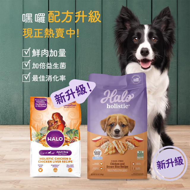 【快閃團購/買一送一】Halo嘿囉 無穀犬糧 350g