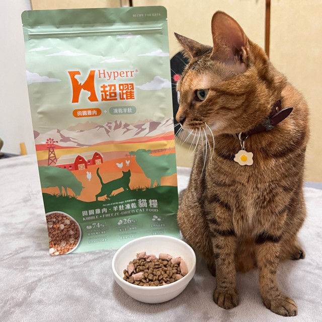【限量特價】買大送小  Hyperr超躍 貓咪凍乾生食餐 