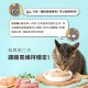 【團購/社群享98折】怪獸部落 貓用 1種肉主食罐