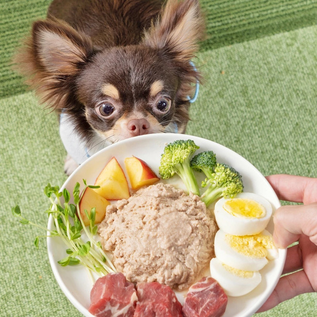 【團購】怪獸部落 犬用 寶寶無膠主食罐 82g*24入