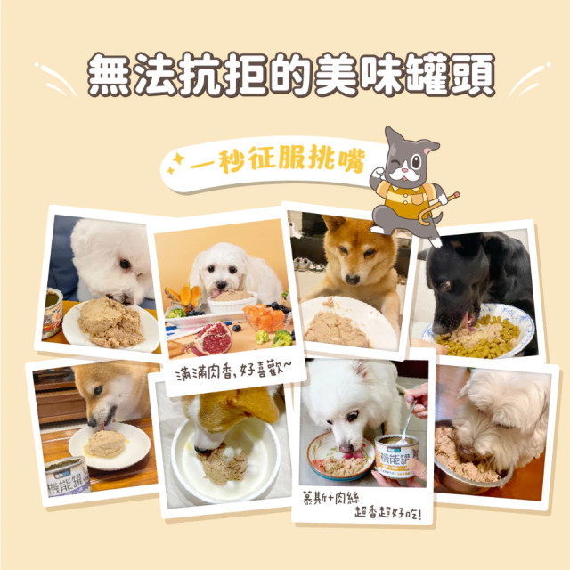【團購】怪獸部落 犬用 保健機能狗主食罐 箱購