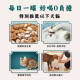 【團購】怪獸部落 犬貓適用 港式鮮煲湯80g*24入
