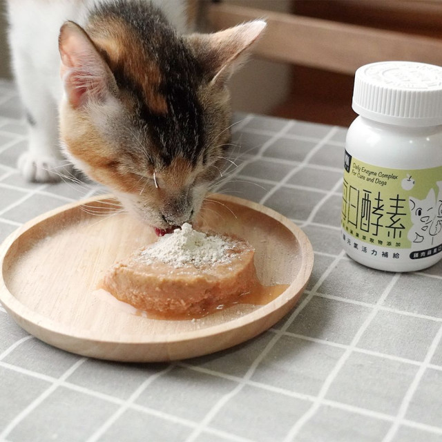 【團購】怪獸部落 每日酵素 犬貓元氣活力補給 40G