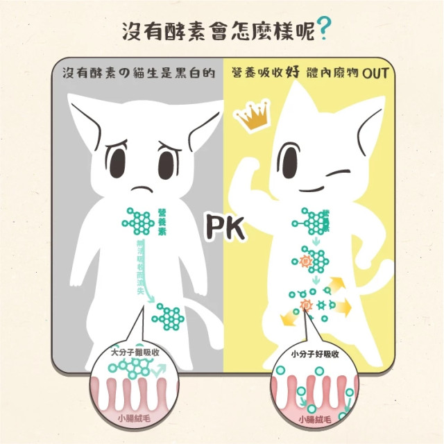 【團購】怪獸部落 每日酵素 犬貓元氣活力補給 40G