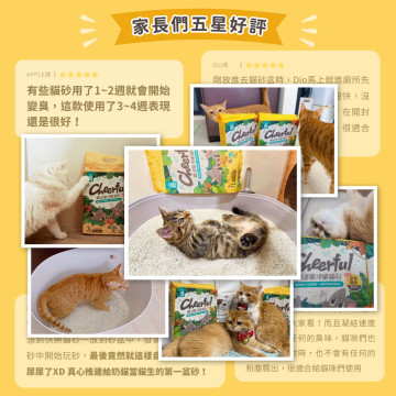 【團購/箱購免運】怪獸部落 費洛蒙快樂貓砂 豆腐砂 2.7Lx6包