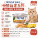 【團購】Monge瑪恩吉 養生湯貓罐 80g