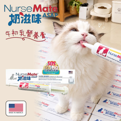 【團購】NurseMate奶滋味-牛初乳營養膏30ml ASAP高效濃縮水解蛋白