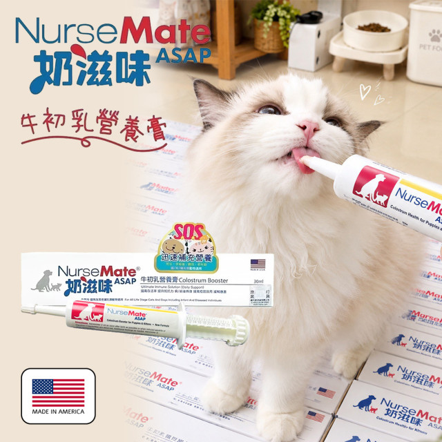 【團購】NurseMate奶滋味-牛初乳營養膏30ml ASAP高效濃縮水解蛋白
