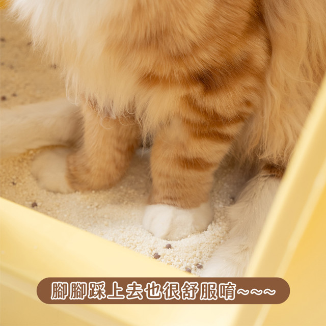 【團購/社群享98折】一件免運 臭味滾 波霸奶茶木薯砂2.5kg_6包/箱 100%除臭 凝結力強 無香精無粉塵