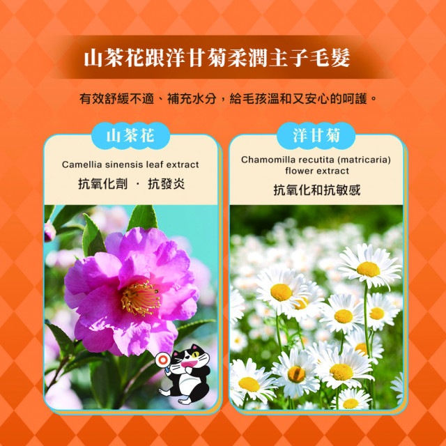 【團購】臭味滾 貓貓濕紙巾 50抽 溫和潔淨 低敏無香