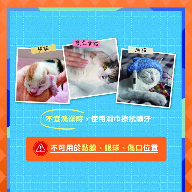 【團購】臭味滾 貓貓濕紙巾 50抽 溫和潔淨 低敏無香