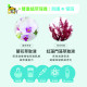 【團購】臭味滾 貓狗通用 日常潔耳液 200ml 低敏溫和 溶解耳垢
