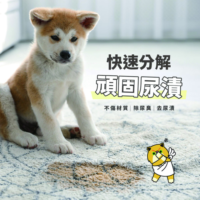 【團購】臭味滾 貓狗通用 高效泡沫去垢 500ml 小範圍多種污漬速效潔淨