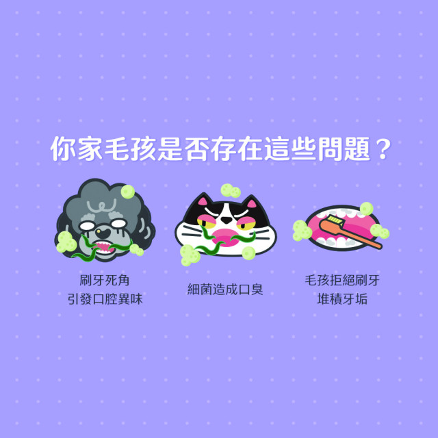 【團購】臭味滾 貓狗通用 口腔噴霧 100ml 植物安心配方