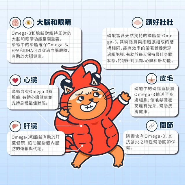 【團購】肉球世界 南極磷蝦油營養補充條17g*10條