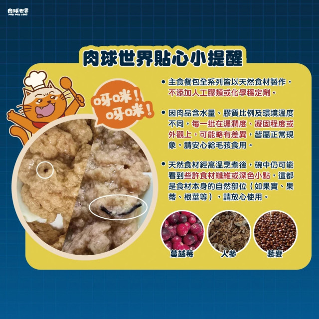 肉球世界 南極磷蝦大肉包 貓主食餐包 45g