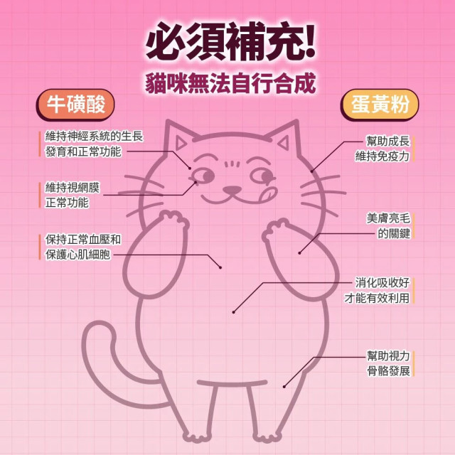 肉球世界 南極磷蝦美毛包 貓主食餐包 45g