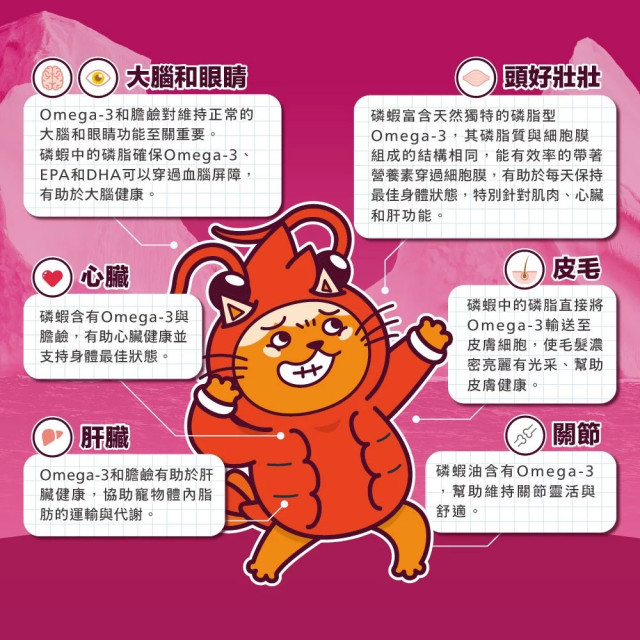 肉球世界 南極磷蝦美毛包 貓主食餐包 45g