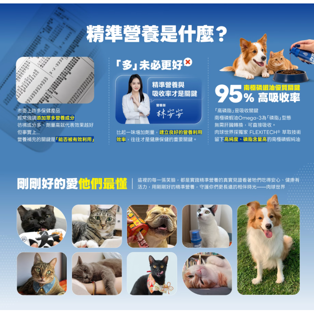 【團購/贈犬罐】RE: 南極磷蝦油粉 狗用 皮膚保健2g*30入