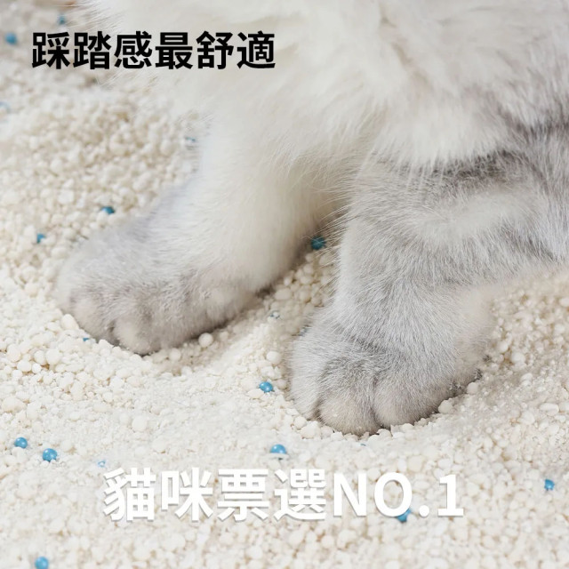 【團購/社群享98折】箱購免運 PETBERRY 貓砂天使 純天然木薯砂