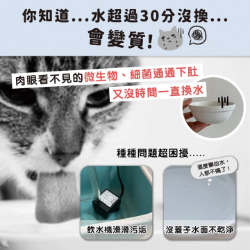 【團購】ParkCat 飲水好喵招  飲水高級活性炭 犬貓適用