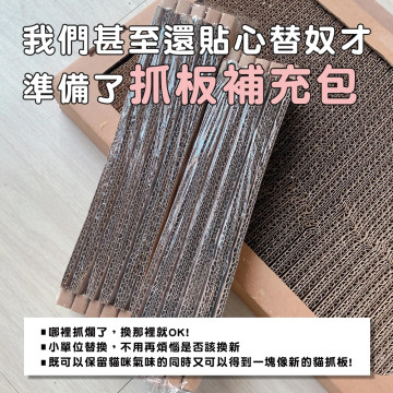 【團購】ParkCat隨喵抓 補充包 5入裝