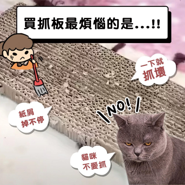 【團購】ParkCat隨喵抓 補充包 5入裝