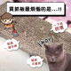 【團購】ParkCat隨喵抓 補充包 5入裝