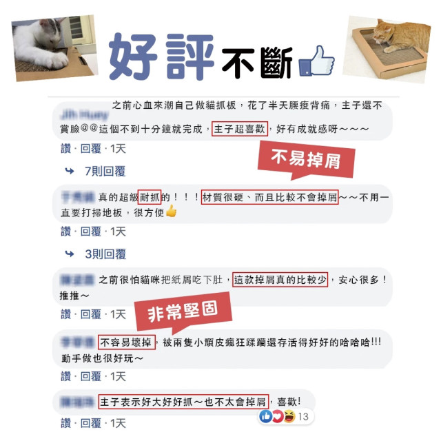 【團購】ParkCat隨喵抓 補充包 5入裝