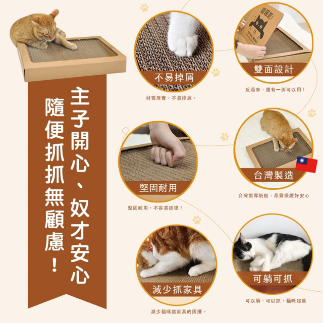 【團購】ParkCat隨喵抓 補充包 5入裝
