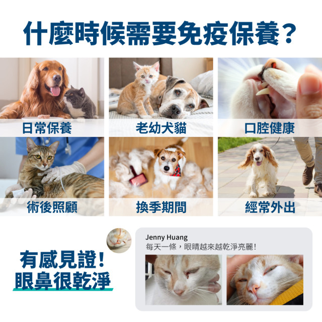 毛掌醫學 固免疫 保健肉泥 貓狗適用 一盒30入(x6g)