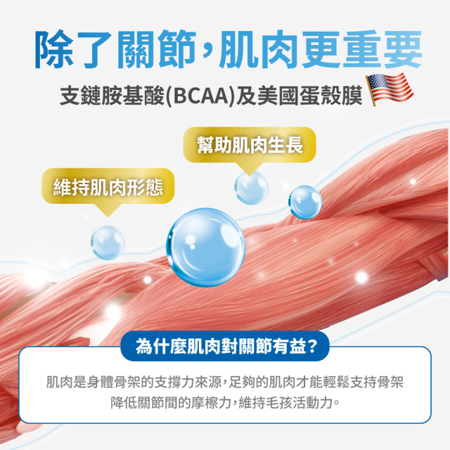 毛掌醫學 護關節 保健肉泥 貓狗適用 一盒30入(x6g)