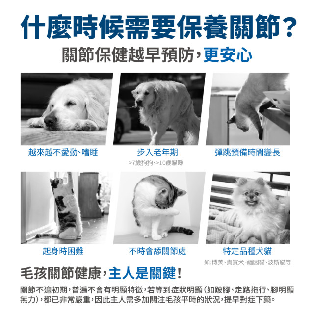 毛掌醫學 護關節 保健肉泥 貓狗適用 一盒30入(x6g)