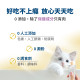 毛掌醫學 好情緒 保健肉泥 寵物舒壓保健 貓狗適用 一盒30入(x6g)