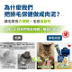 毛掌醫學 益菌化排毛保健肉泥 貓咪天然排毛 取代化毛膏 一盒30入(x6g)