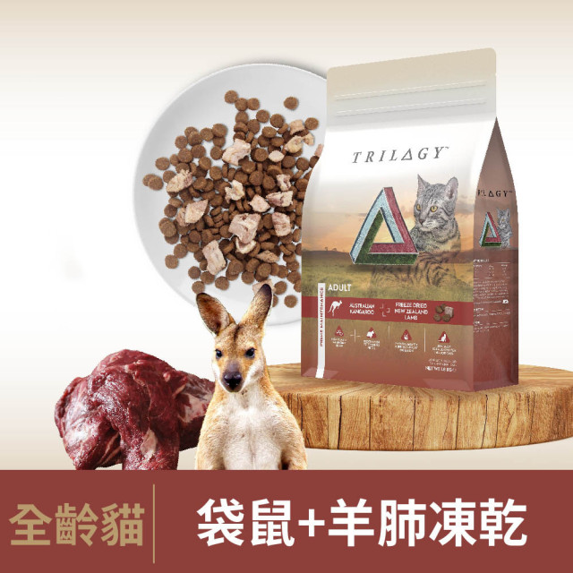 【團購/社群享98折】買大送小 奇境 無穀凍乾貓糧