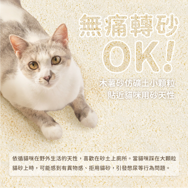 【團購/社群享98折】免運 汪喵星球 益生菌消臭瞬凝木薯砂 2.4kg*6包