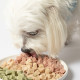 【團購】汪喵星球 機能保健丁 犬貓凍乾保健零食 20g
