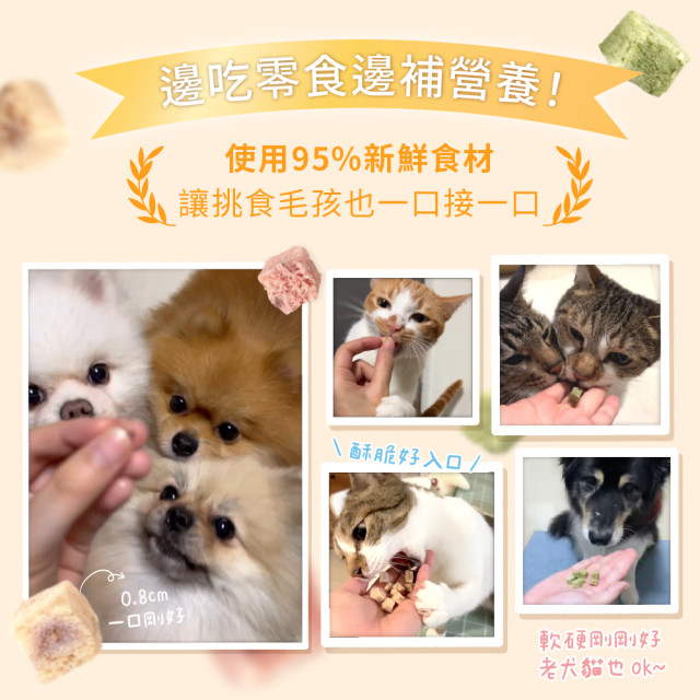【團購】汪喵星球 機能保健丁 犬貓凍乾保健零食 20g