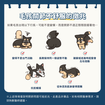 【團購】汪喵星球  UCII關節保養粉（MSM加強配方）
