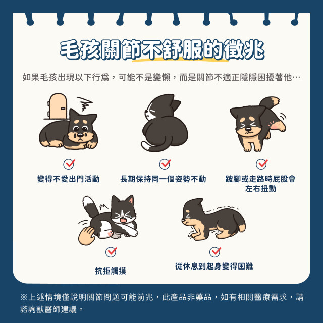 【團購】汪喵星球  UCII關節保養粉（MSM加強配方）