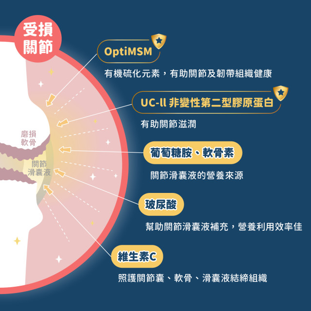 【團購】汪喵星球  UCII關節保養粉（MSM加強配方）