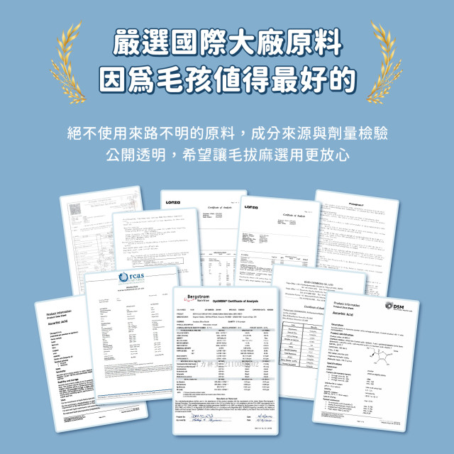 【團購】汪喵星球  UCII關節保養粉（MSM加強配方）